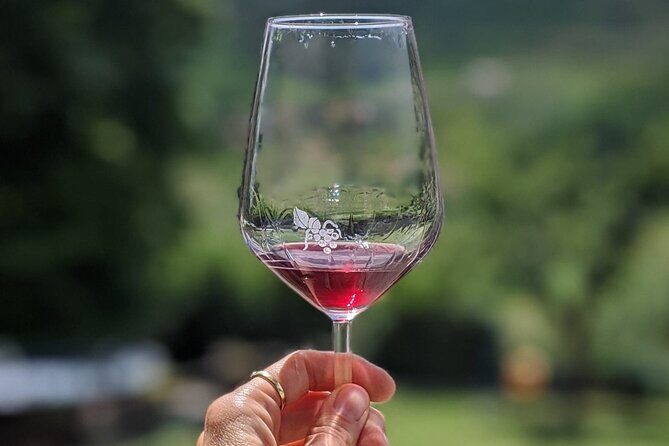 Bike Ride & WIne Tasting - Stop 2 at Azienda Agricola Valle del Sole: Vineyard Walk + Family-Run Tasting