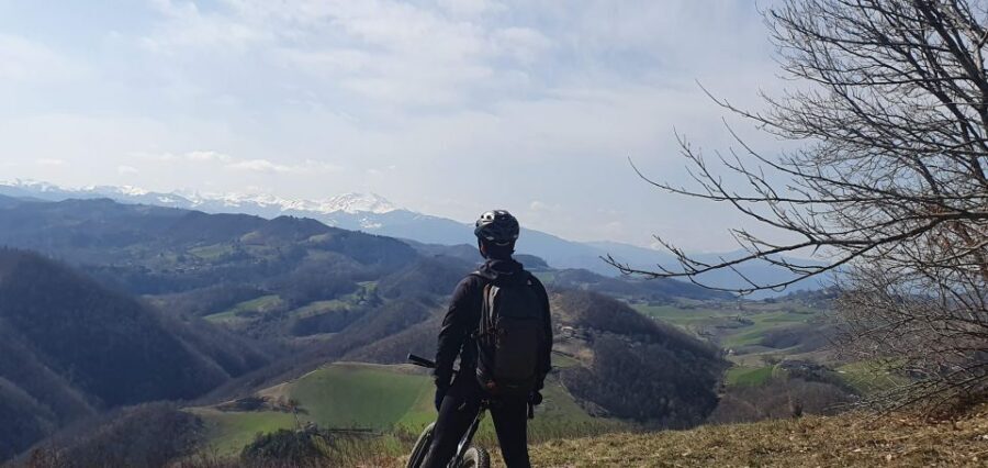 Bologna: E-Bike Guided Tour with Aperitivo - E-bike basics: easy on paper, real on the road