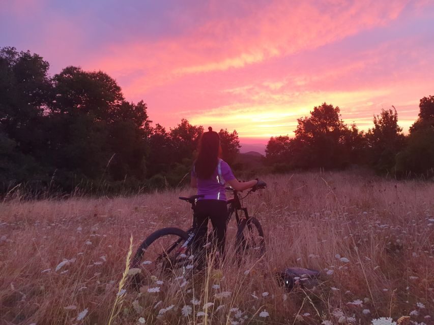 Bologna: E-Bike Guided Tour with Aperitivo - San Luca and the ride effort: what to expect on the climb