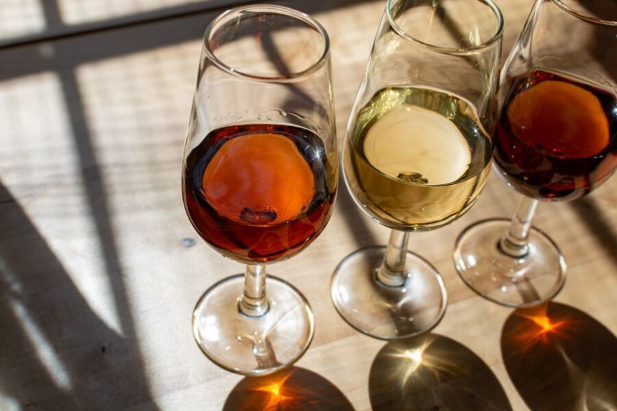 Bologna: Italian Red Wine and Food Tasting - Should You Book This Bologna Red Wine Tasting?