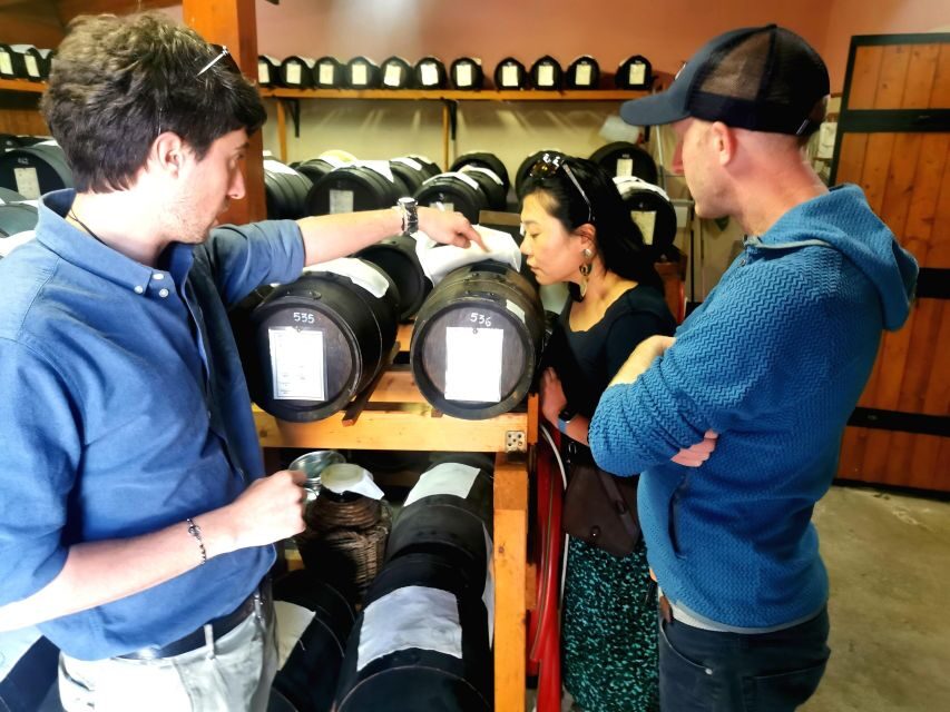 Bologna: Parmigiano, Wine and Balsamic Vinegar experience - Morning Pickup and Coffee Pastries in Bologna