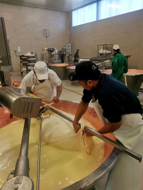 Bologna: Parmigiano, Wine and Balsamic Vinegar experience - Step Into Parmigiano Reggiano Production in the Modena Area