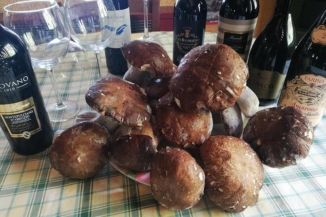 Bologna: the red medieval pearl and its delicious food (private tour) - Osteria del Sole: Wine Tasting in a 15th-Century Inn