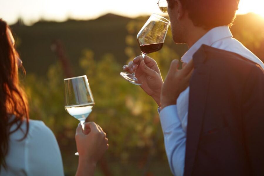 Bologna Vineyard Vista: a journey through Emilian wines - Key things I’d plan around