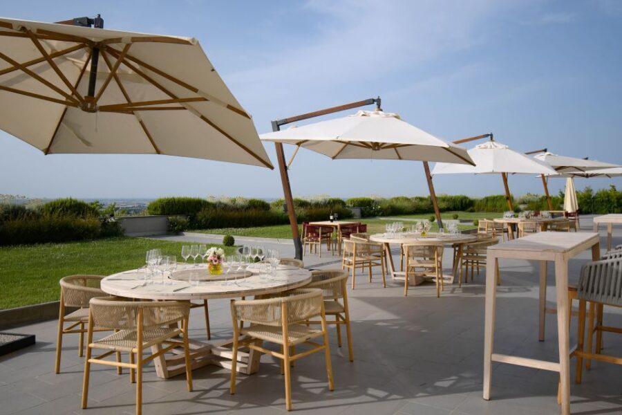 Bologna Vineyard Vista: a journey through Emilian wines - Food pairings that make the wines easier to understand