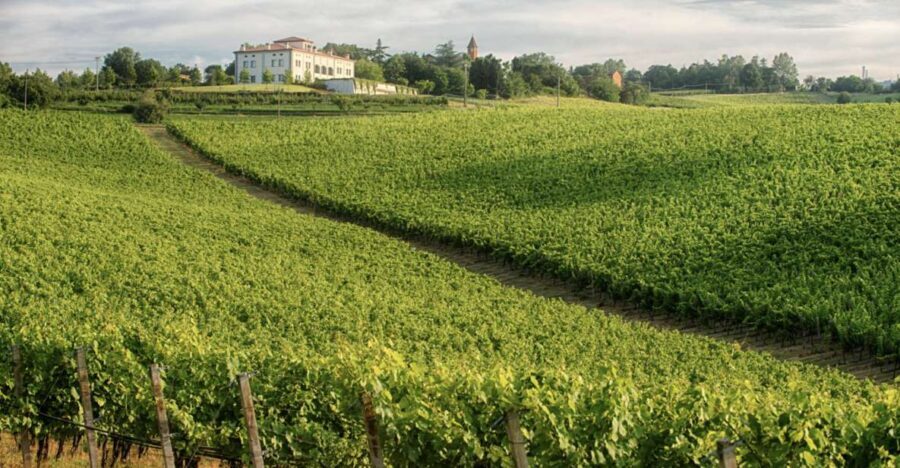 Bologna Vineyard Vista: a journey through Emilian wines - Timing, pickup, and how to plan the day without stress