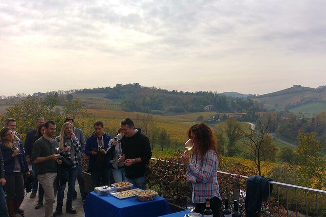 Bologna Wine Tasting & Winery Tour in the Colli Bolognesi - What Makes This Bologna Wine Tour Feel Like a Real Winery Visit