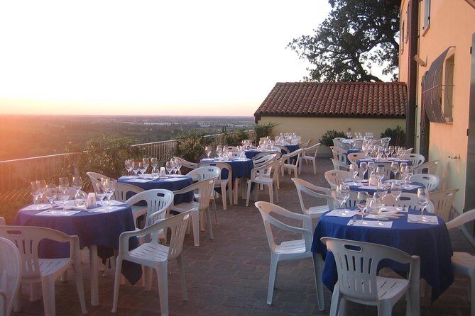 Bologna Wine Tasting & Winery Tour in the Colli Bolognesi - When Weather Changes the Plan: What Happens if It Rains