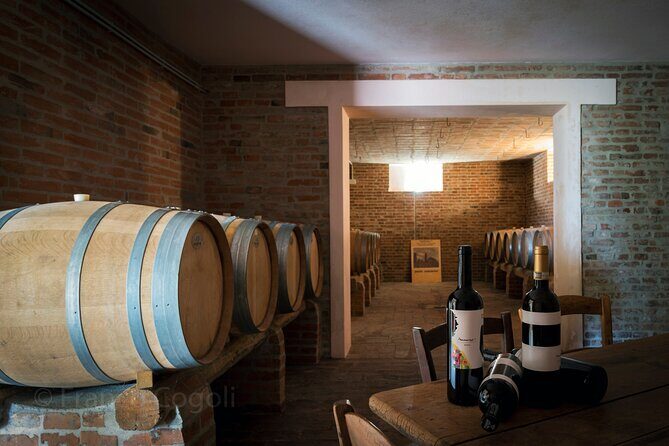 Bologna Wine Tasting & Winery Tour in the Colli Bolognesi - Value for Money: Is This Worth $58.87?