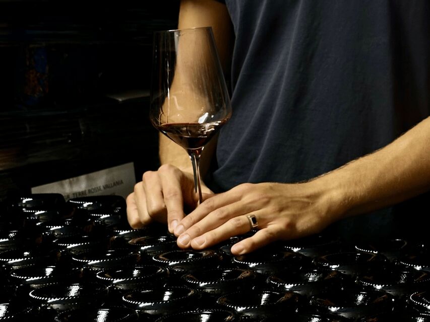 Boutique Winery Tour with Wine Tasting & Food in Bologna - Why this Bologna winery tour works so well