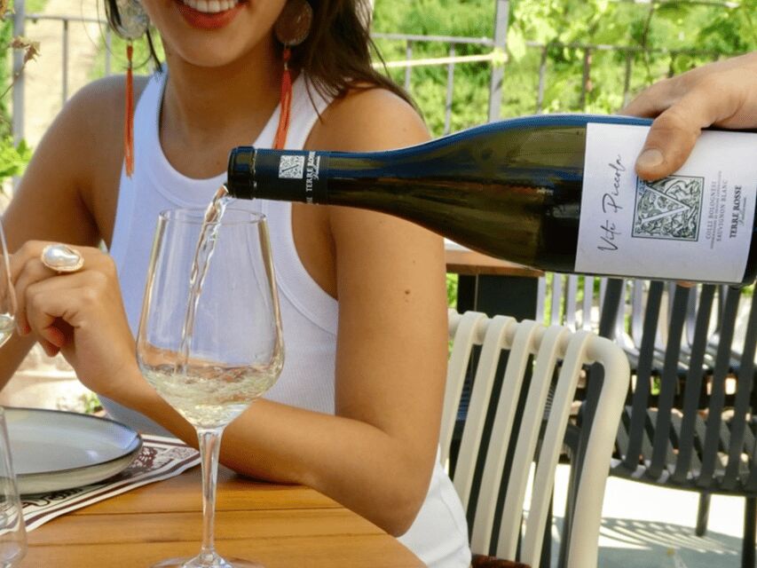 Boutique Winery Tour with Wine Tasting & Food in Bologna - Timing and pacing: what the 1.5 hours feels like