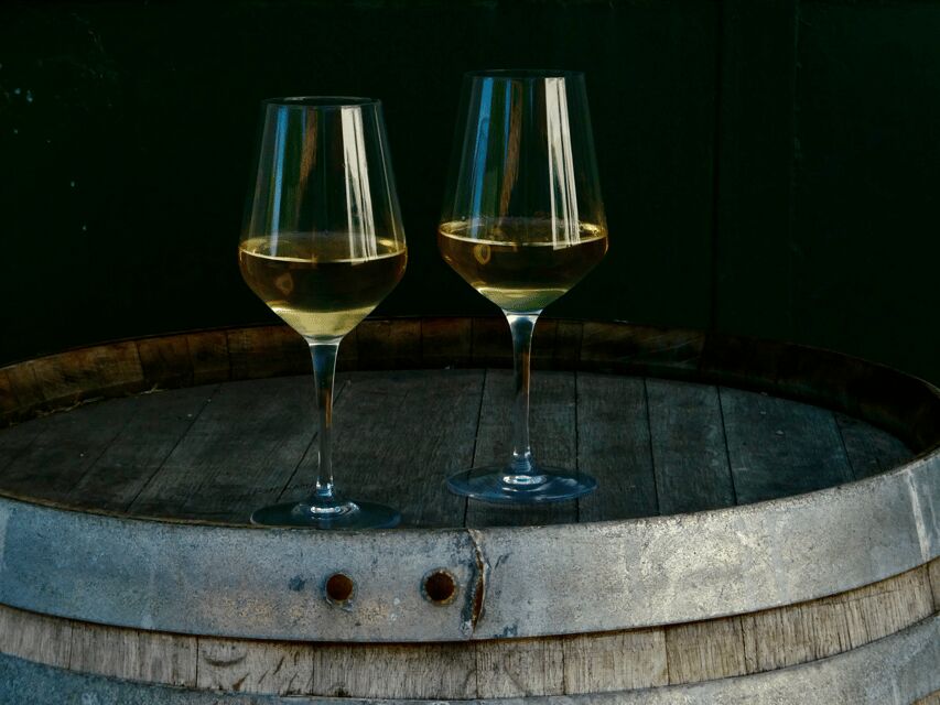 Boutique Winery Tour with Wine Tasting & Food in Bologna - Who this tour is best for (and who should skip it)