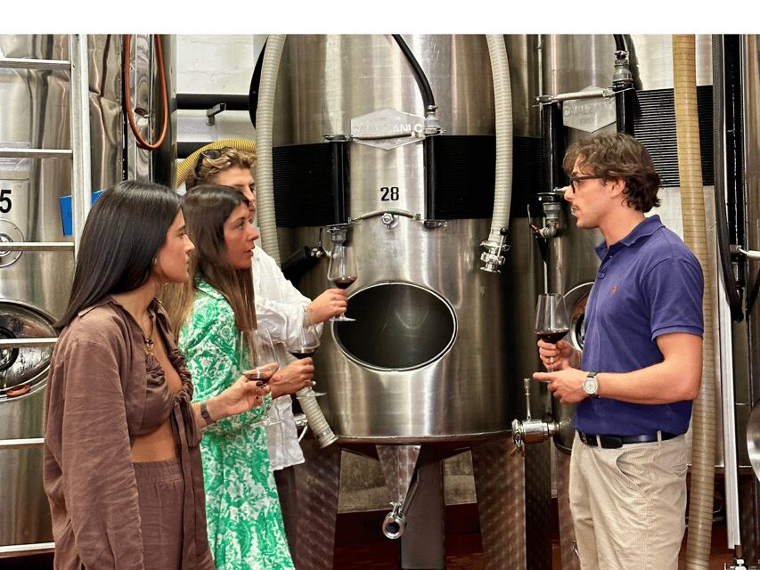 Boutique Winery Tour with Wine Tasting & Food in Bologna - Colli Bolognesi in 90 minutes: a quick escape from Bologna