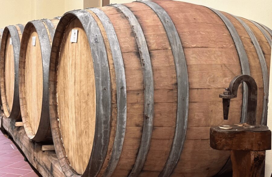 Boutique Winery Visit & Wine Tasting near Arezzo - Key highlights worth your attention