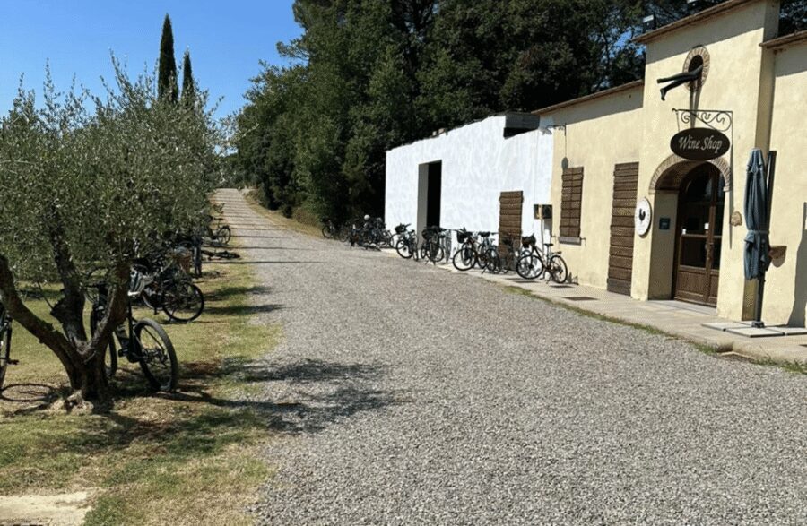 Boutique Winery Visit & Wine Tasting near Arezzo - The cellar tour: hand harvest to stainless steel to oak aging