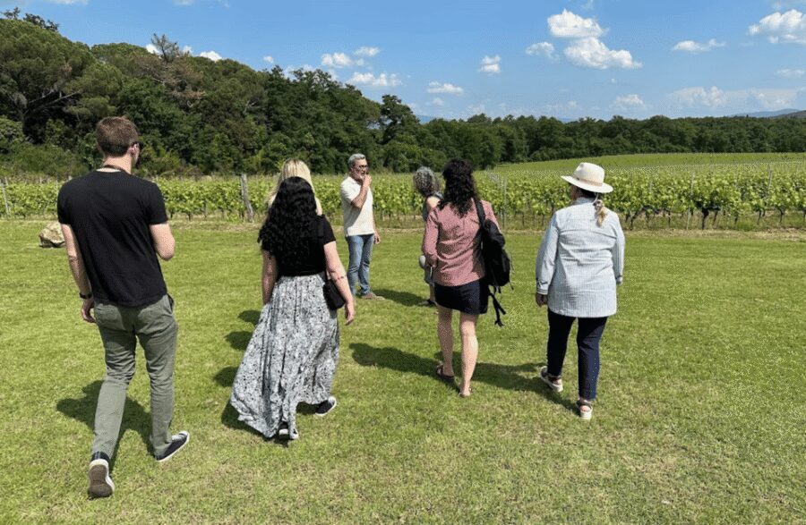 Boutique Winery Visit & Wine Tasting near Arezzo - Who should book this and who might want a different plan