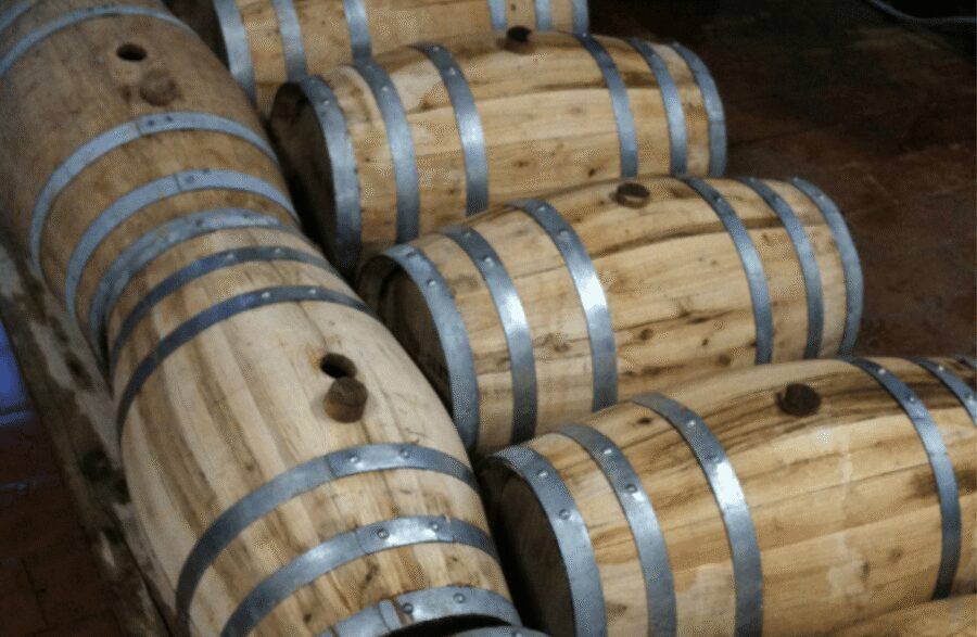 Boutique Winery Visit & Wine Tasting near Arezzo - The 60-minute schedule: vineyard walk, cellar rooms, tasting focus