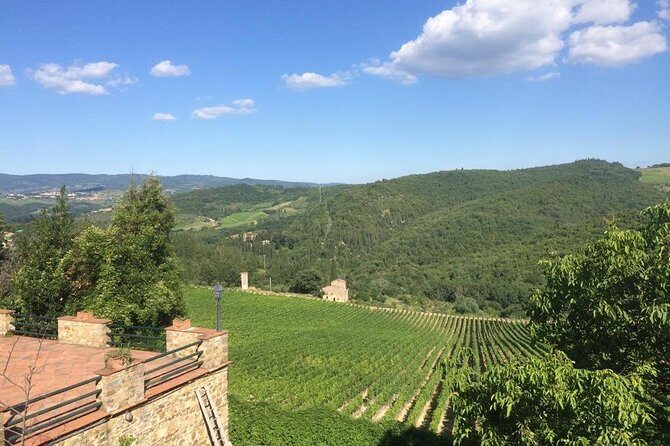 Brunello and Montepulciano Wine Tour from Cortona - Should you book this Brunello and Montepulciano tour from Cortona?