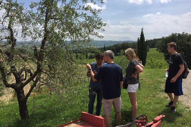 Brunello di Montalcino, small biodynamic wineries - Meeting point, dress code, and what to bring (the stuff that trips people up)