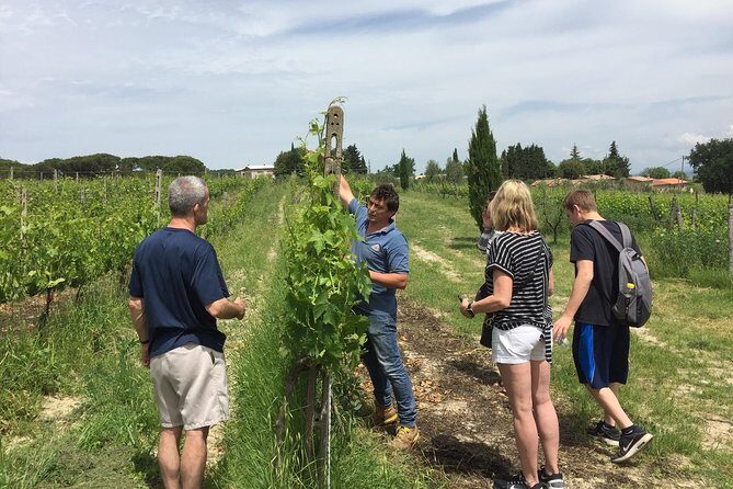 Brunello di Montalcino, small biodynamic wineries - Val d’Orcia near Montalcino: a UNESCO valley with time to breathe