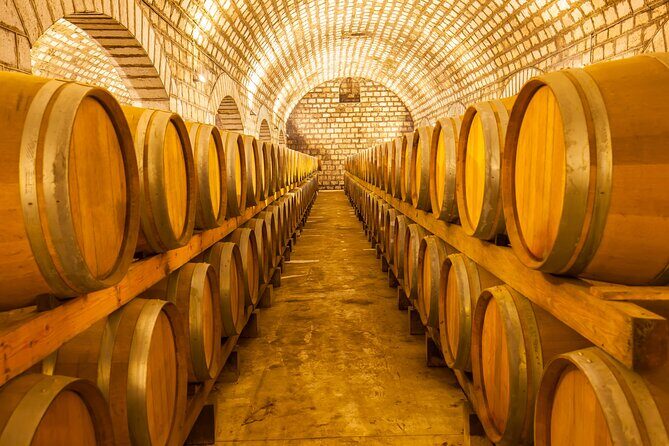 Brunello di Montalcino Wine Experience from Siena - Val d’Orcia wine tasting: your first Brunello taste with Tuscan countryside energy