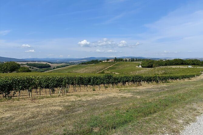 Brunello E-Bike Tour - Price and value: what $301.03 buys you here