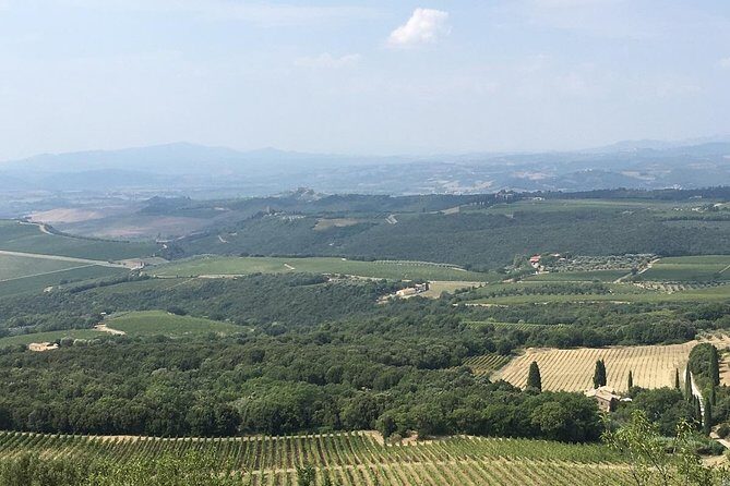 Brunello E-Bike Tour - Abbazia di Sant’Antimo: the winemaking stop with free church access
