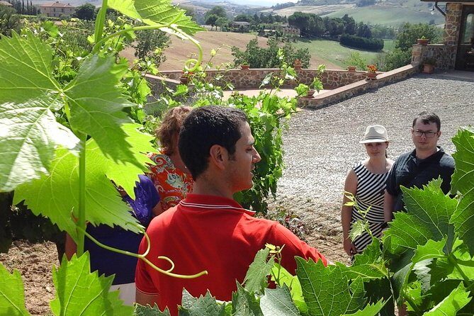 Brunello Vineyards Bus Tour - Price and value: $216.74 for logistics plus two guided tastings