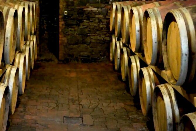 Brunello Wine Tasting from San Gimignano - Group size and the guide factor (Vincenzo can make or break it)