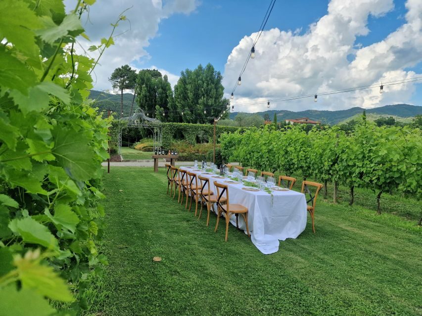 Castiglion Fiorentino: Buccelletti Wine Tour & Tasting - Should you book Buccelletti’s Buccelletti Wine Tour & Tasting?
