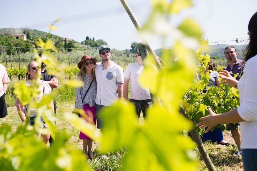 Castiglion Fiorentino: Buccelletti Wine Tour & Tasting - Arriving at Via Santa Cristina, 16: where you’ll park and what to look for