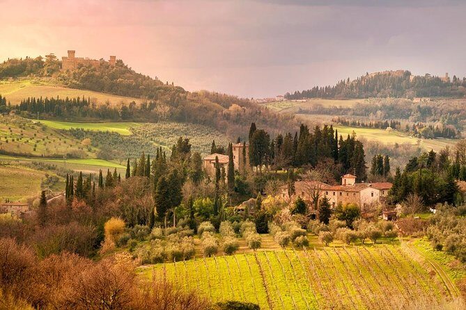 Castles & Chianti Wine Experience– Small Group from San Gimignano - Strada Statale 222 Chiantigiana: The Second Tasting with a Different Estate Feel
