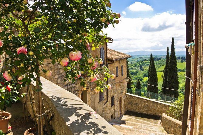 Castles & Chianti Wine Experience– Small Group from San Gimignano - What You’ll Eat and Taste Beyond Wine