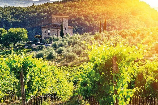 Castles & Chianti Wine Experience– Small Group from San Gimignano - Price and Value: Is $102.35 a Good Deal?