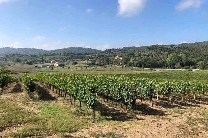 Cellar Tour & Wine Tasting - Stop in Lucignano: why this setting makes the tasting better