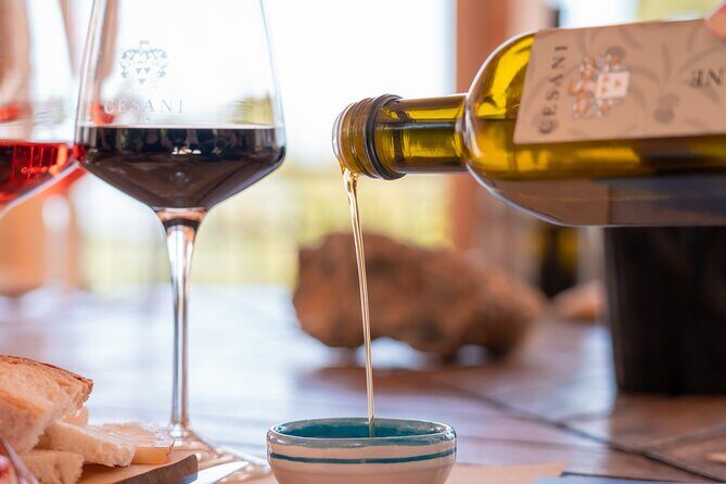 Cesani Wine Experience - The cellar tour: tradition meets modern production