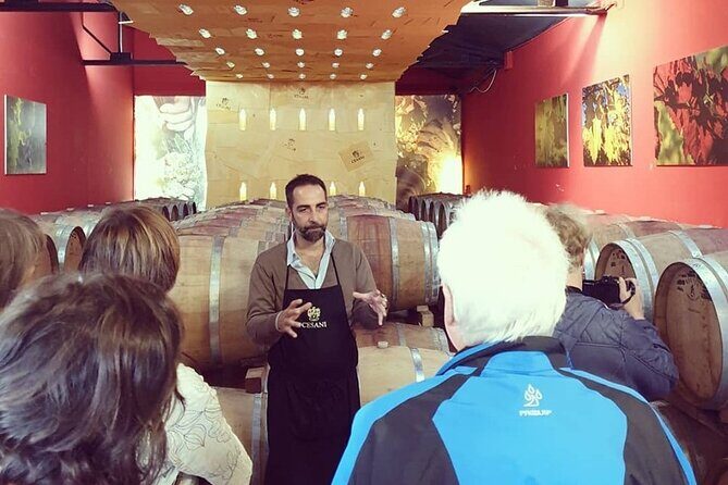 Cesani Wine Experience - Food pairings: pecorino and cured meats to keep you steady