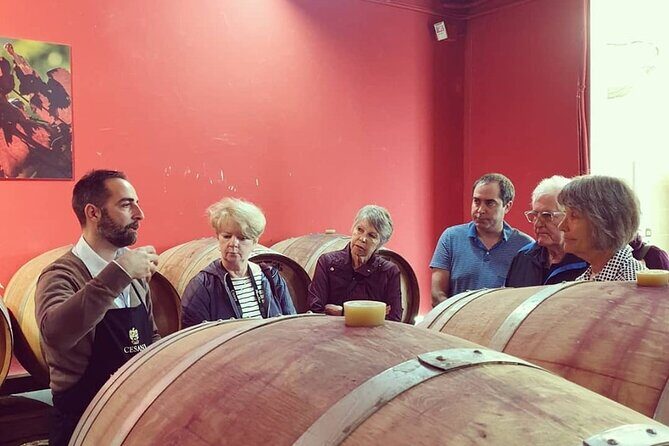 Cesani Wine Experience - English guidance and how the explanation lands