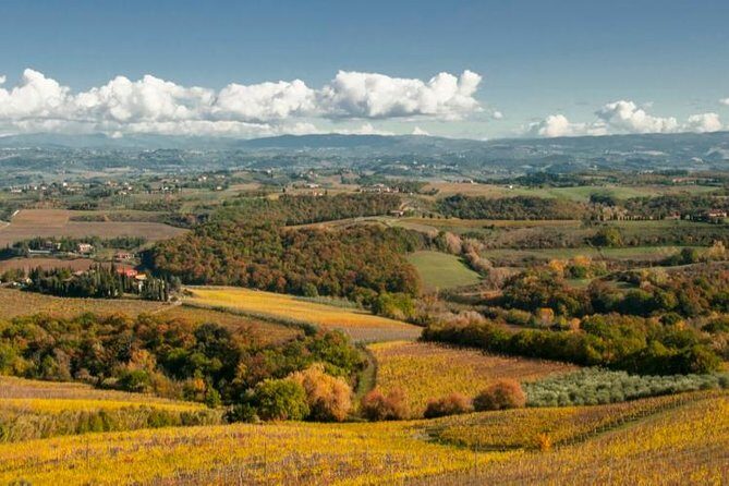 Cesani Wine Experience - Best for: wine-curious people who want real guidance