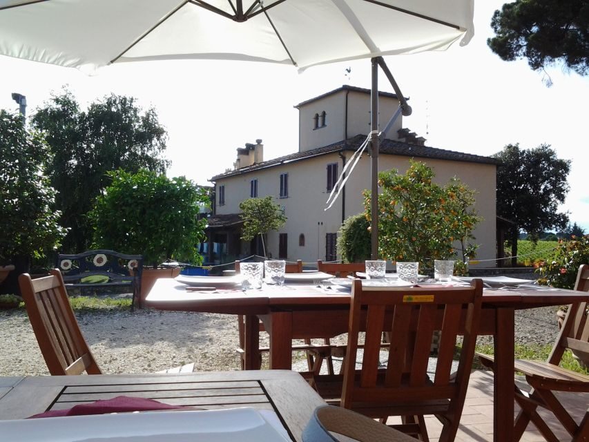 Chianti: 4 Wines +1 Oil Guided Tasting & Tour - Vineyard walk: when you can add a little countryside