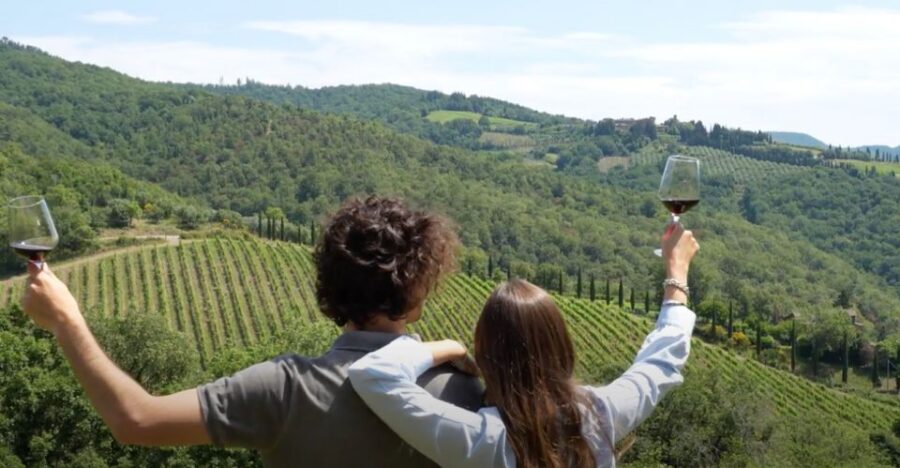 Chianti and Castles Tour From San Gimignano - Final call: book it if you want a high-impact wine day