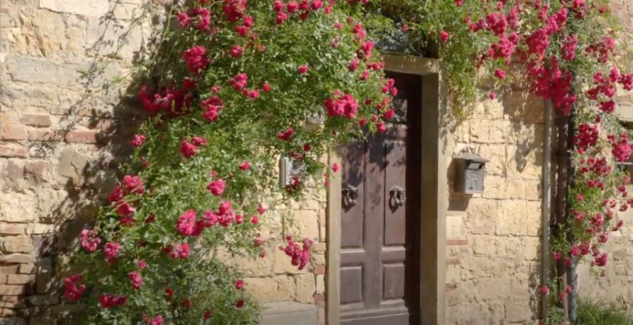 Chianti and Castles Tour From San Gimignano - Winery stop two in the Chianti Classico area