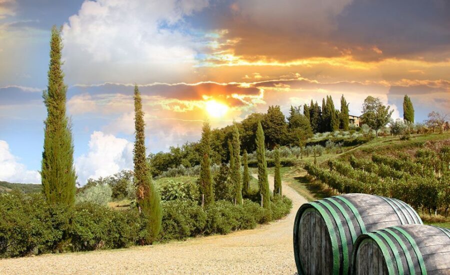 Chianti and Castles Tour From San Gimignano - Chianti tasting basics you can actually use
