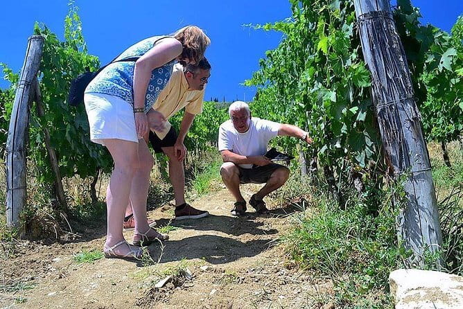 Chianti Classico and Super Tuscan 3 Winery Tour - From Florence to Chianti Classico in One Easy Morning Drive