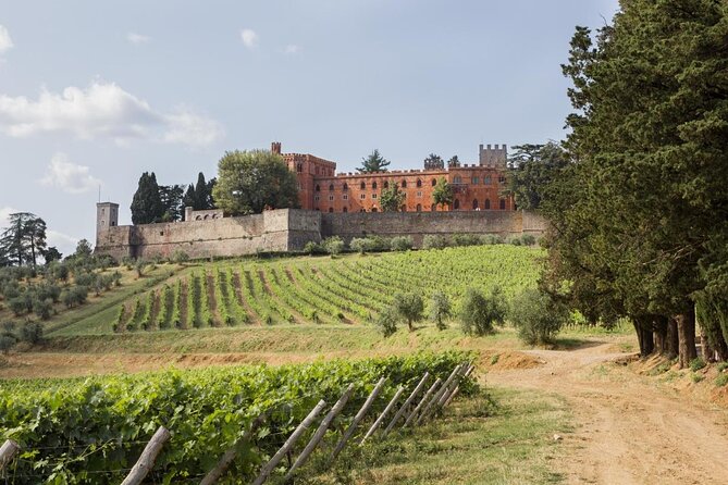 Chianti Classico E-Bike Tour - Key highlights to look for