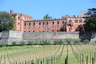 Chianti Classico E-bike Tour - Going uphill toward Badia a Passignano
