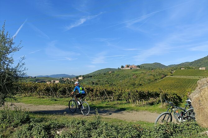 Chianti Classico E-Bike Tour - Castelnuovo Berardenga: charm with breathing room