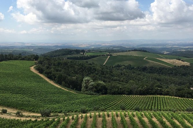 Chianti Classico E-Bike Tour - Winery time, wine tasting, and the included lunch that’s more than an afterthought