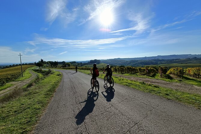 Chianti Classico E-Bike Tour - Price and value: what you’re really paying for at $313.24