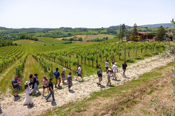Chianti Classico E-bike Tour - Who this tour fits best (and who should skip it)
